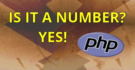 How to check if something is a number, PHP